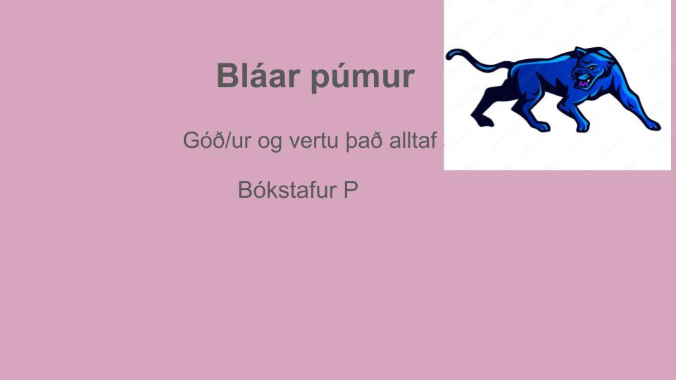 Bláar púmur