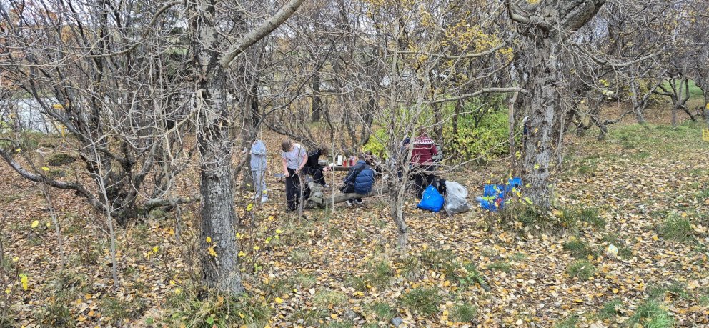 Valgreinadagur í Húnaskóla