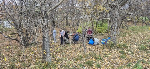 Valgreinadagur í Húnaskóla